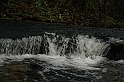 Rostoczek 11.2008 091